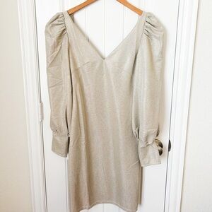 NWT Hidden Brand Boutique Gold Beige Shimmer Dress Size Small